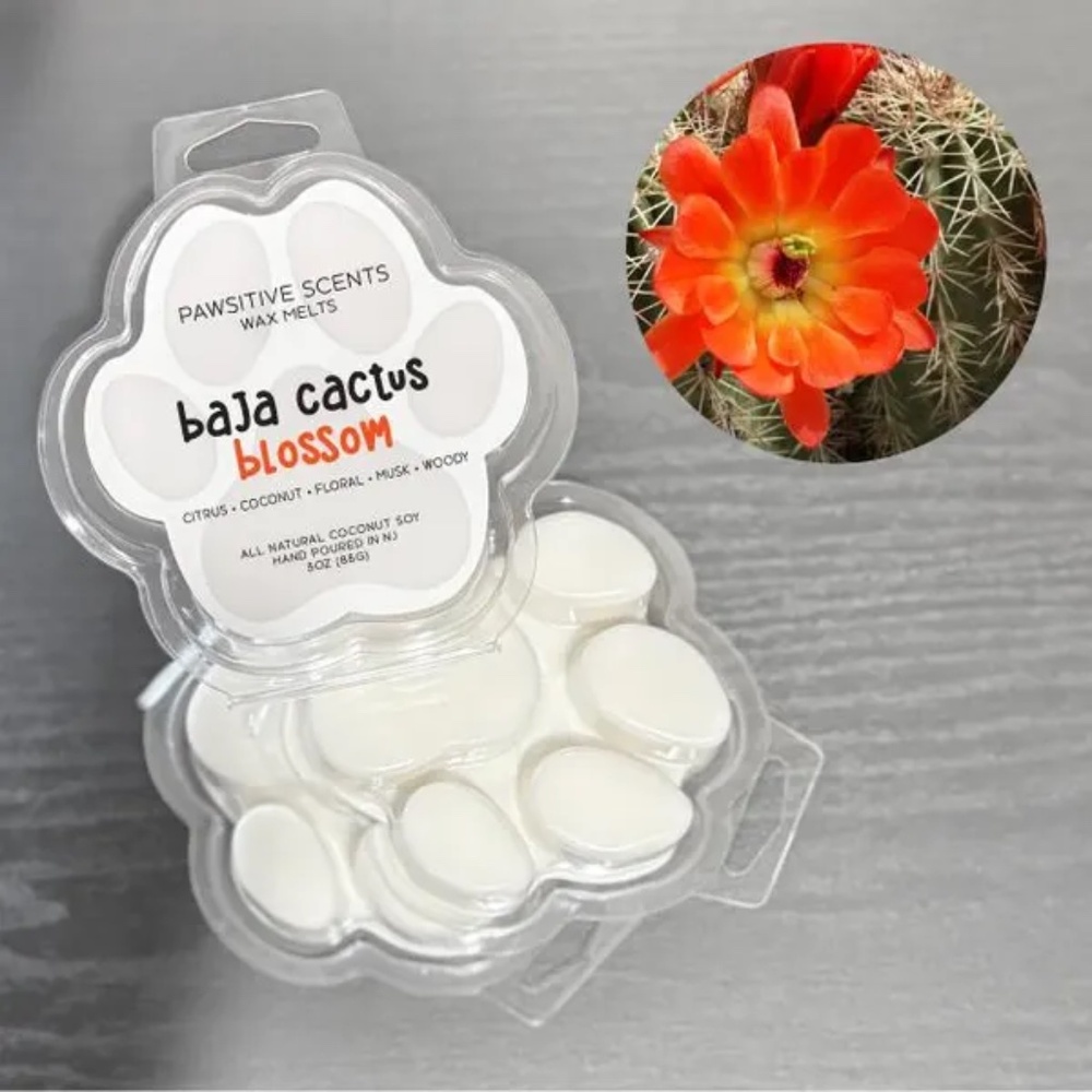 Wax Melt Paw Print/Baja Cactus Blossom Scent/Vegan Coconut Soy Wax